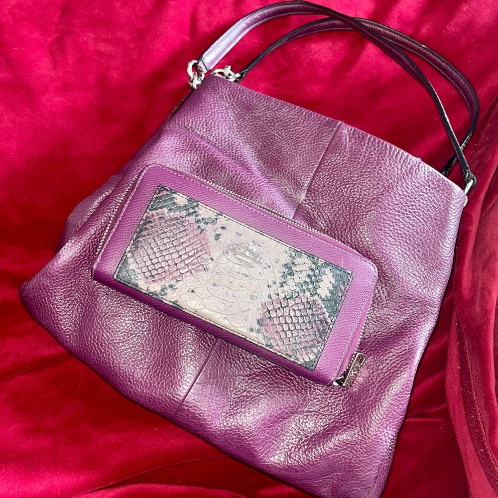 Coach PhoebeShoulder Bag in Exotic Trim Leather and matching wallet